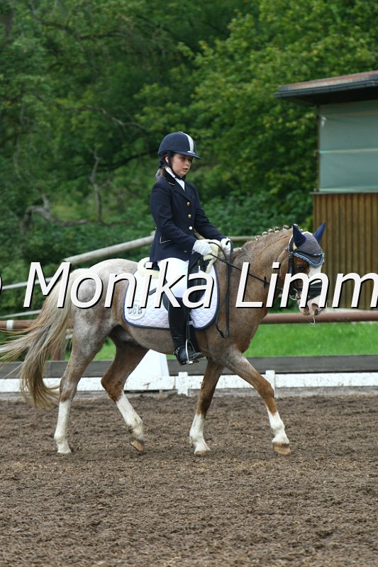 109M3635_Giglbergs Ragtime_Dressur E.JPG